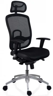 SCAUN OKLAHOMA EXECUTIV PDH